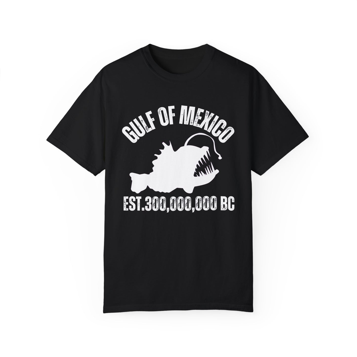 Funny gifts Gulf of Mexico Est 300,000 BC mexican pride 2025